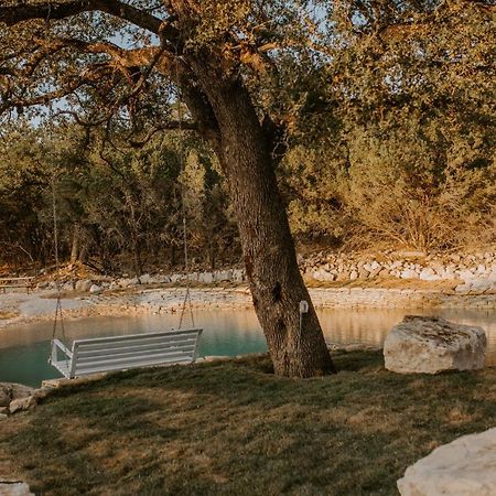 Spring BranchNest - Texas Tiny House With A Big View别墅 外观 照片